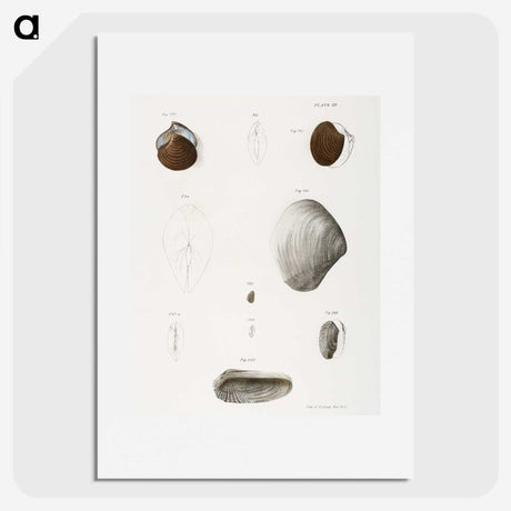 1-99_Zoology-of-New-York_picture