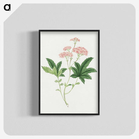 1-9_19th-Century-Japanese-Flowers_blk-crop