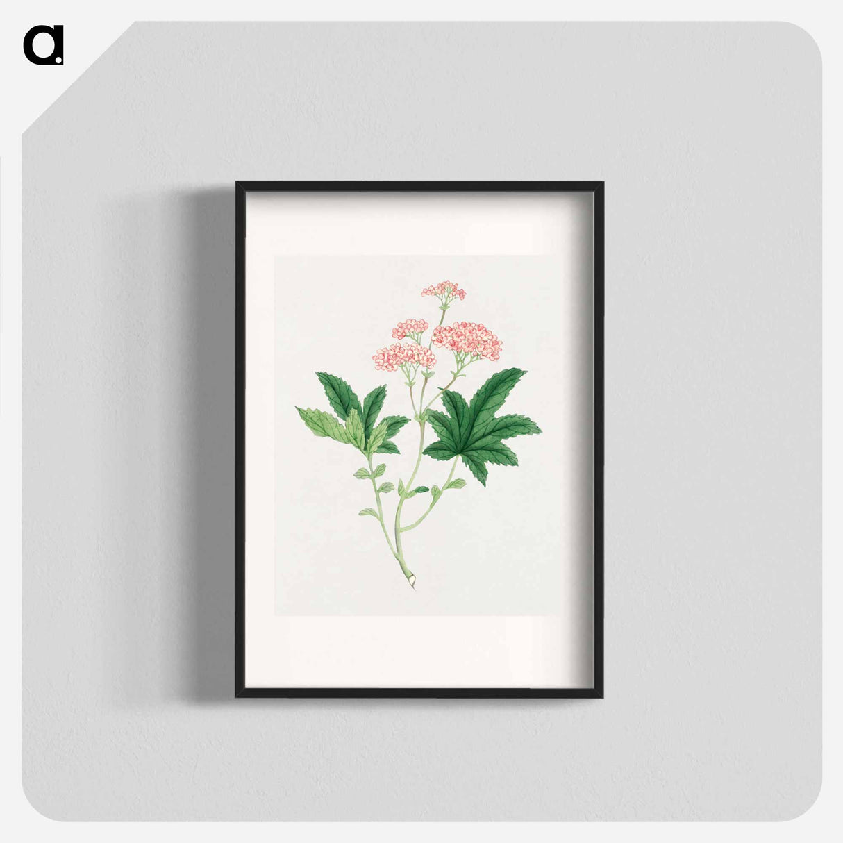 Shimotsuke - 19世紀の日本の花 Poster.
