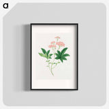 Shimotsuke - 19世紀の日本の花 Poster.