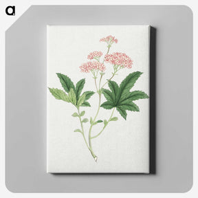 1-9_19th-Century-Japanese-Flowers_canvas