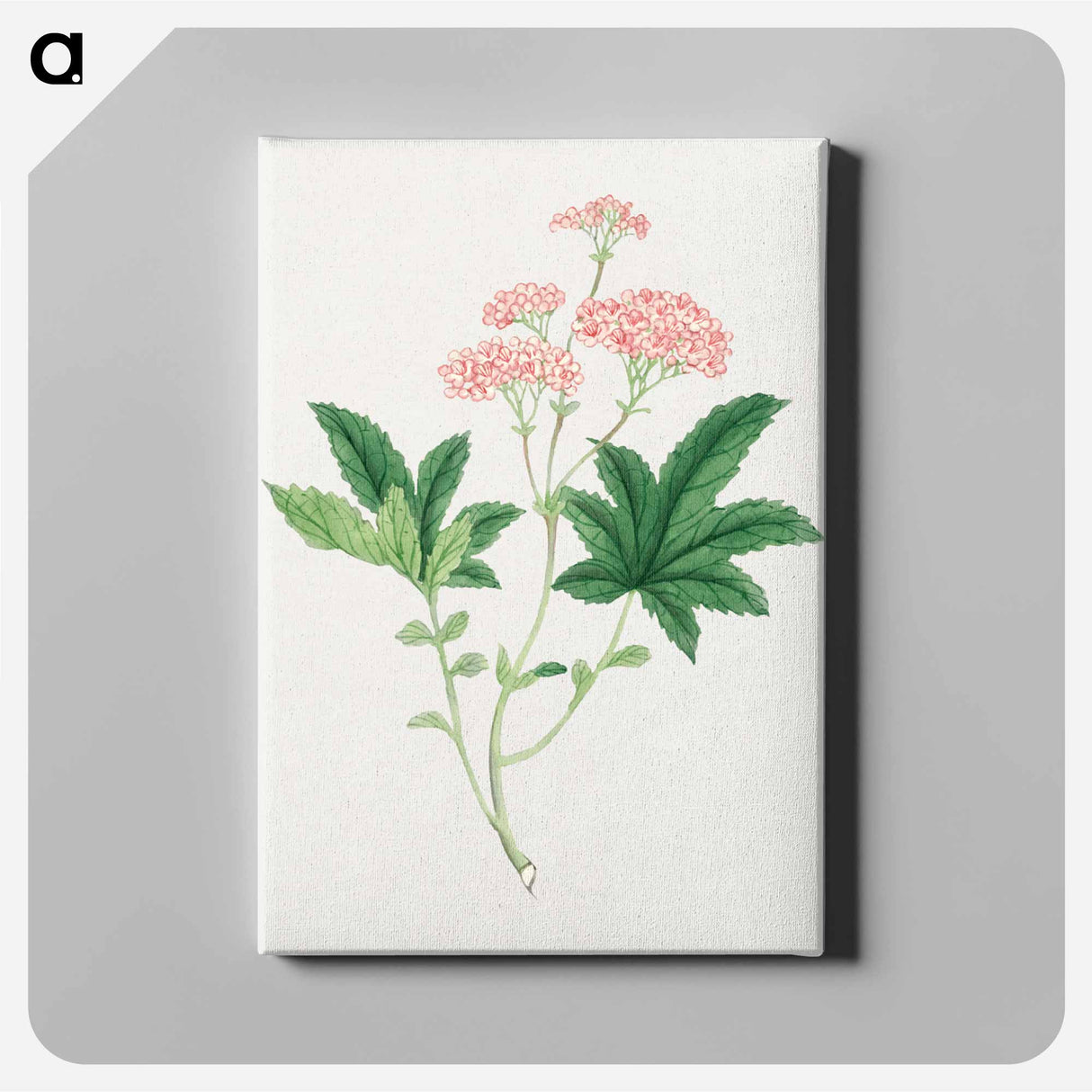 Shimotsuke - 19世紀の日本の花 Canvas.