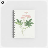 1-9_19th-Century-Japanese-Flowers_memo