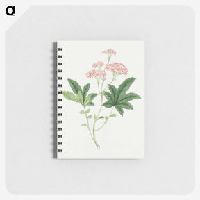 1-9_19th-Century-Japanese-Flowers_memo