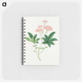 アートメモ帳-Shimotsuke - 19世紀の日本の花 Memo.
