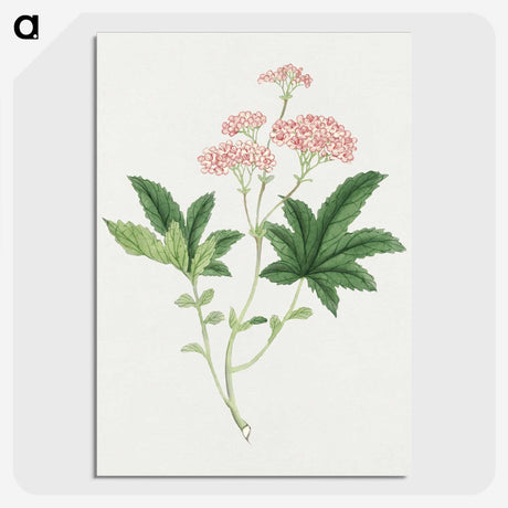 1-9_19th-Century-Japanese-Flowers_picture-crop