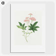 1-9_19th-Century-Japanese-Flowers_picture