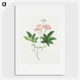 1-9_19th-Century-Japanese-Flowers_picture