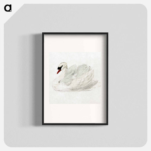 Mute swan - アールト シューマン Poster.