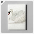 1-9_Aert-Schouman_canvas