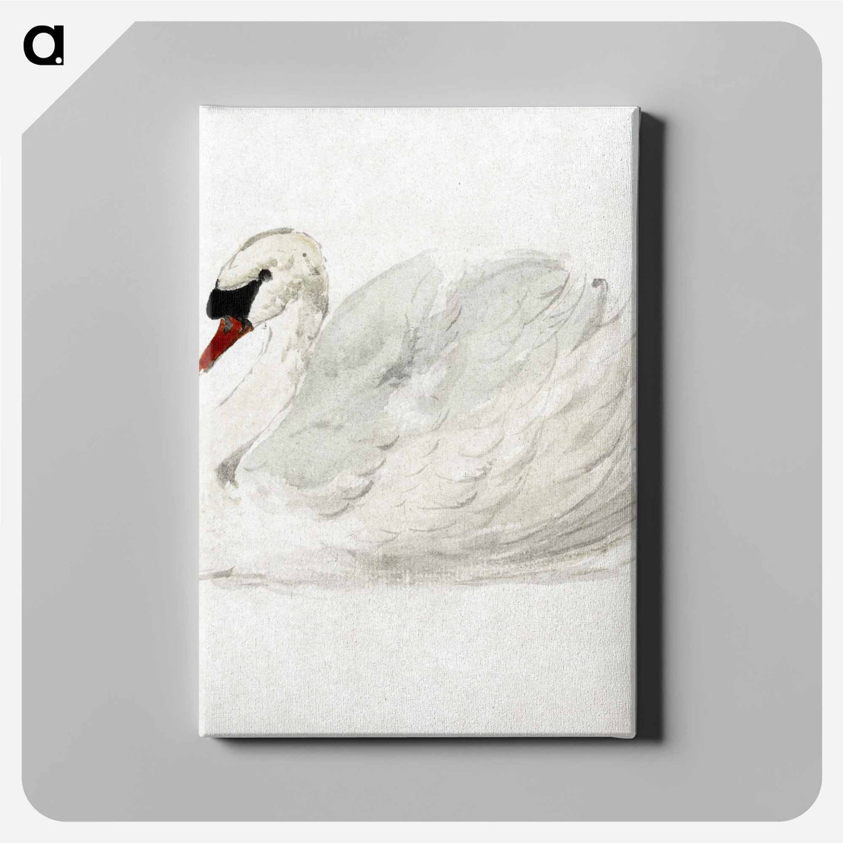 Mute swan - アールト シューマン Canvas.