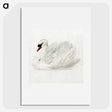1-9_Aert-Schouman_picture