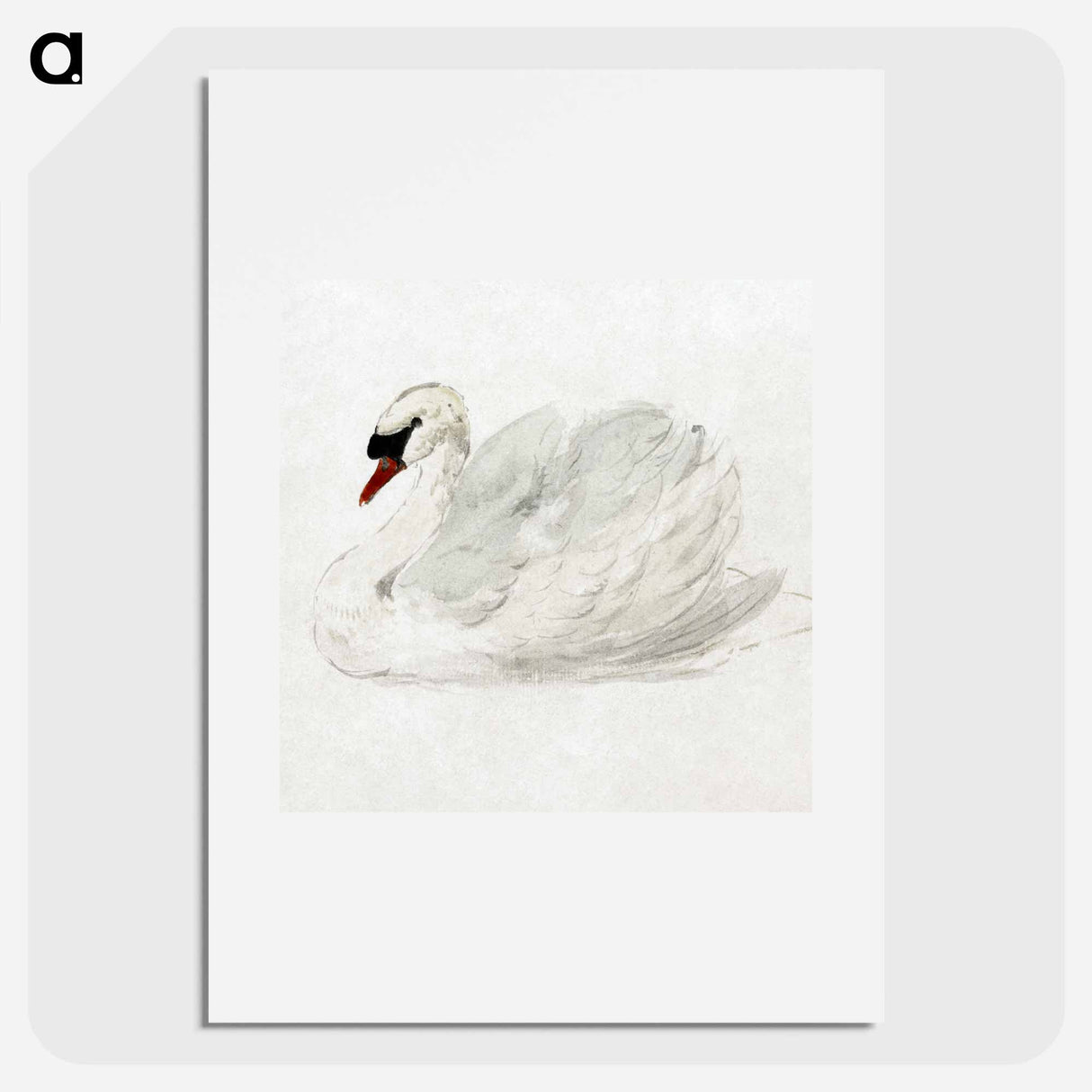 Mute swan - アールト シューマン Poster.