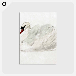 アートポストカード-Mute swan - アールト シューマン Postcard.