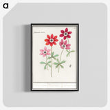 1-9_Anselmus-Boetius-de-Boodt_blk-crop