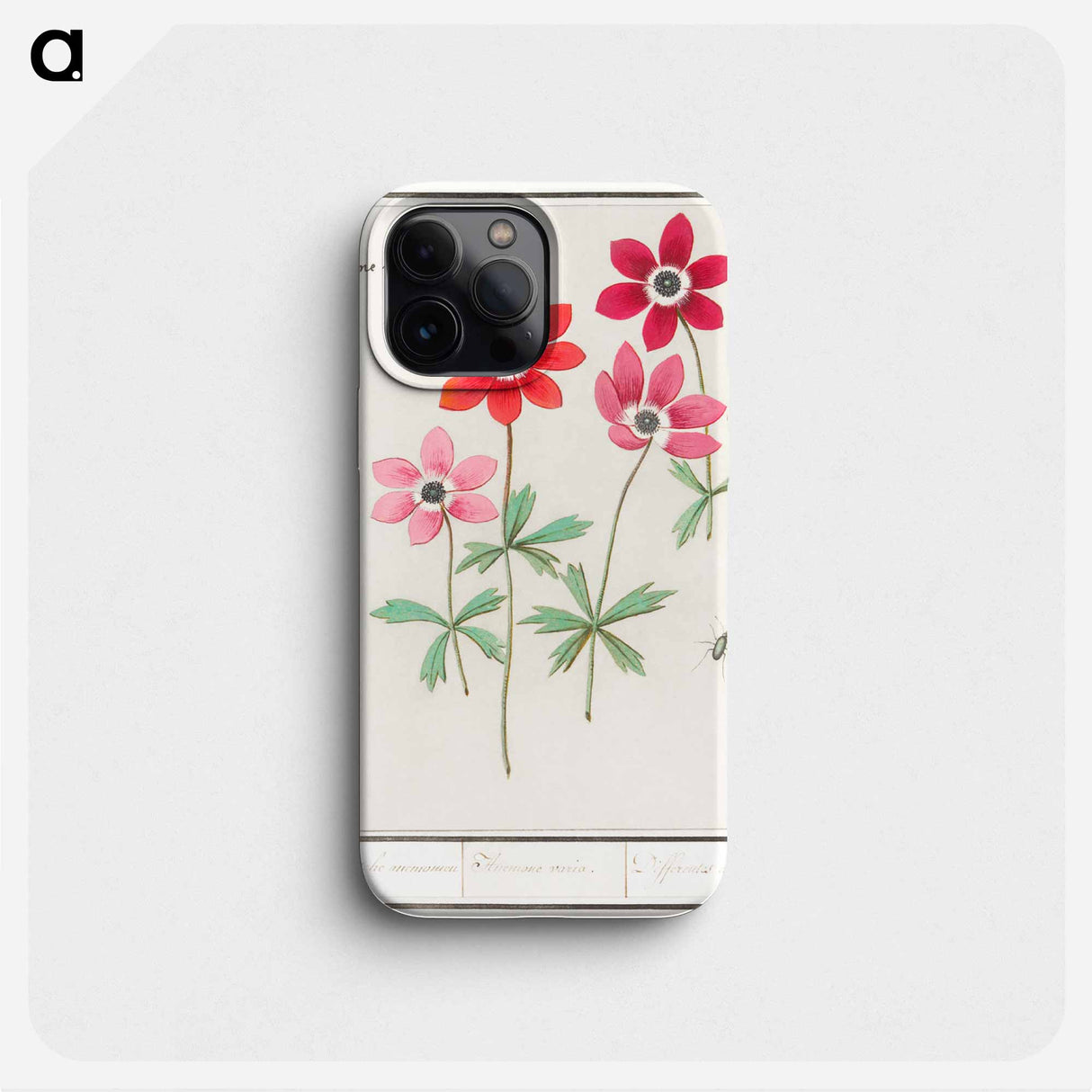 Anemoon, Anemone - アンセルムス ボエティウス デ ブート Phone Case.