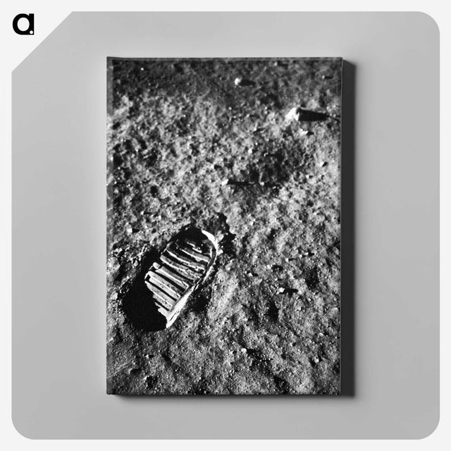 1-9_Apollo-Moon-Landing_canvas