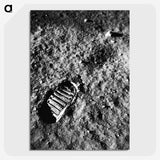 1-9_Apollo-Moon-Landing_picture-crop