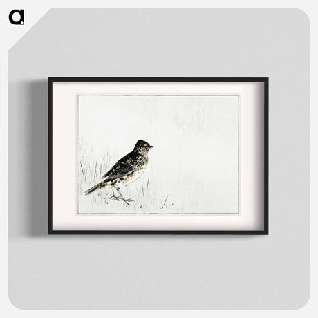 アートポスター-Skylark Illustration from Bijutsu Sekai
 - 美術世界 Poster.