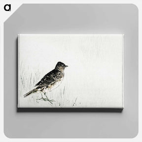 アートパネル-Skylark Illustration from Bijutsu Sekai
 - 美術世界 Canvas.