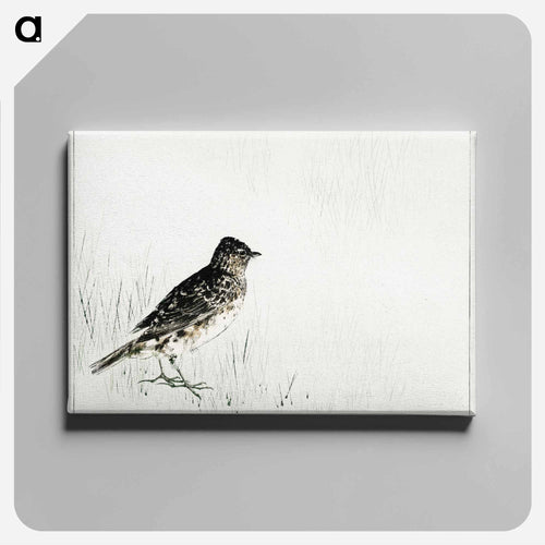 Skylark Illustration from Bijutsu Sekai
 - 美術世界 Canvas.