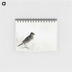 アートメモ帳-Skylark Illustration from Bijutsu Sekai
 - 美術世界 Memo.