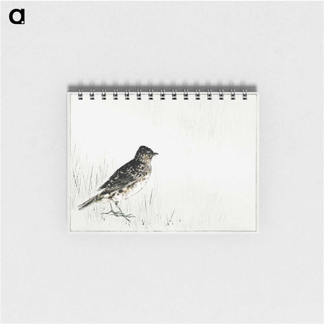 アートメモ帳-Skylark Illustration from Bijutsu Sekai
 - 美術世界 Memo.