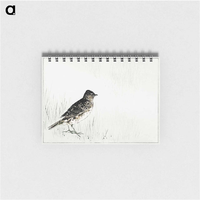 アートメモ帳-Skylark Illustration from Bijutsu Sekai
 - 美術世界 Memo.