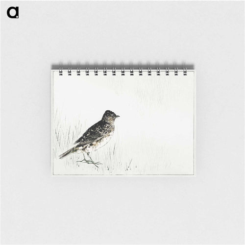 Skylark Illustration from Bijutsu Sekai
 - 美術世界 Memo.