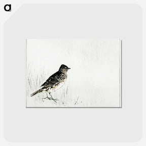 アートポストカード-Skylark Illustration from Bijutsu Sekai
 - 美術世界 Postcard.