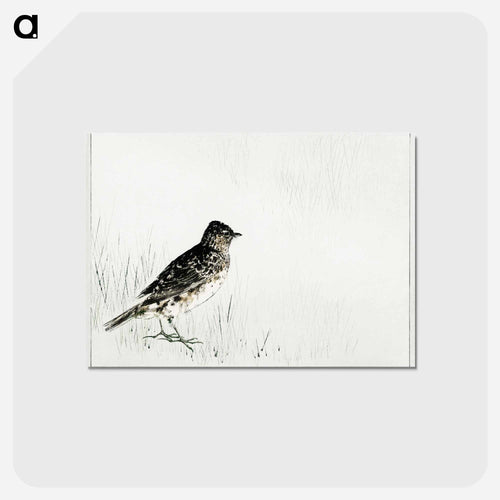 Skylark Illustration from Bijutsu Sekai
 - 美術世界 Postcard.