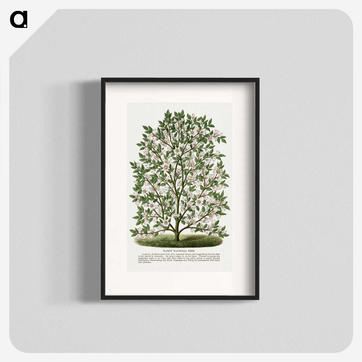 1-9_Botanical-Specimen-Plates_blk