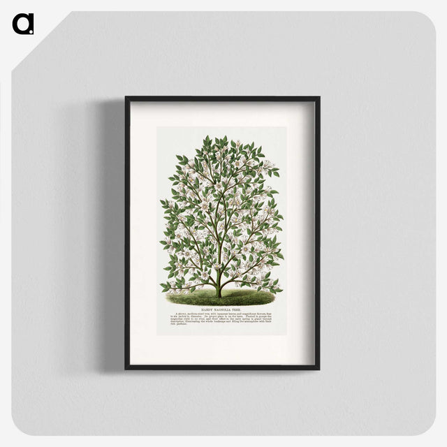 1-9_Botanical-Specimen-Plates_blk