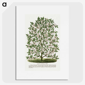 1-9_Botanical-Specimen-Plates_picture