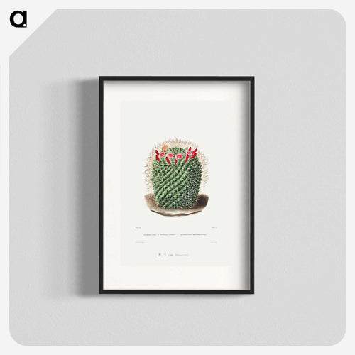 ピンクッション・カクタス - シャルル アントワーヌ ルメール Poster.