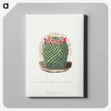 1-9_Charles-Antoine-Lemaire_canvas