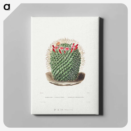 1-9_Charles-Antoine-Lemaire_canvas
