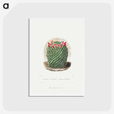 1-9_Charles-Antoine-Lemaire_hagaki