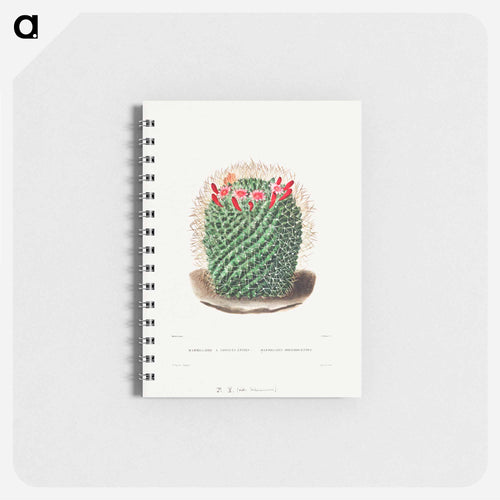 Pincushion Cactus
 - シャルル アントワーヌ ルメール Memo.