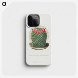 1-9_Charles-Antoine-Lemaire_phone