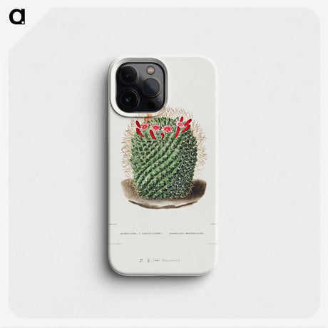 1-9_Charles-Antoine-Lemaire_phone