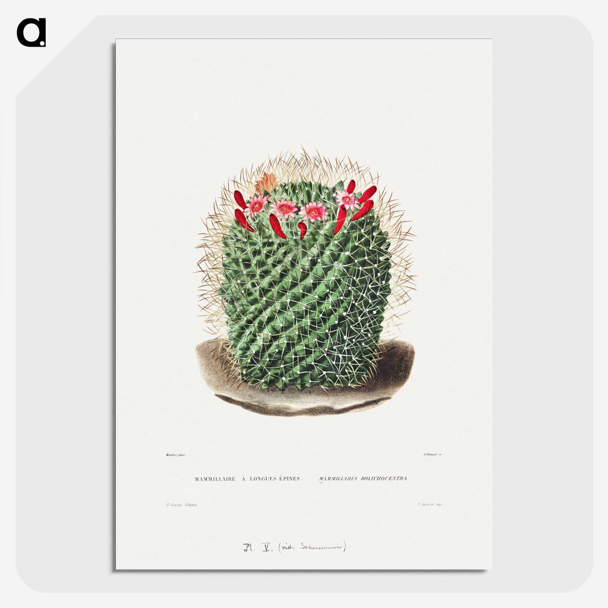 1-9_Charles-Antoine-Lemaire_picture-crop