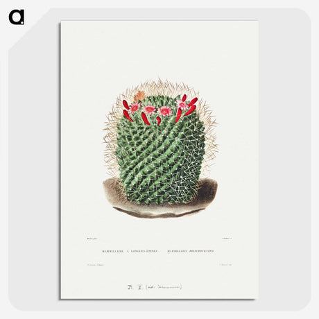 1-9_Charles-Antoine-Lemaire_picture-crop