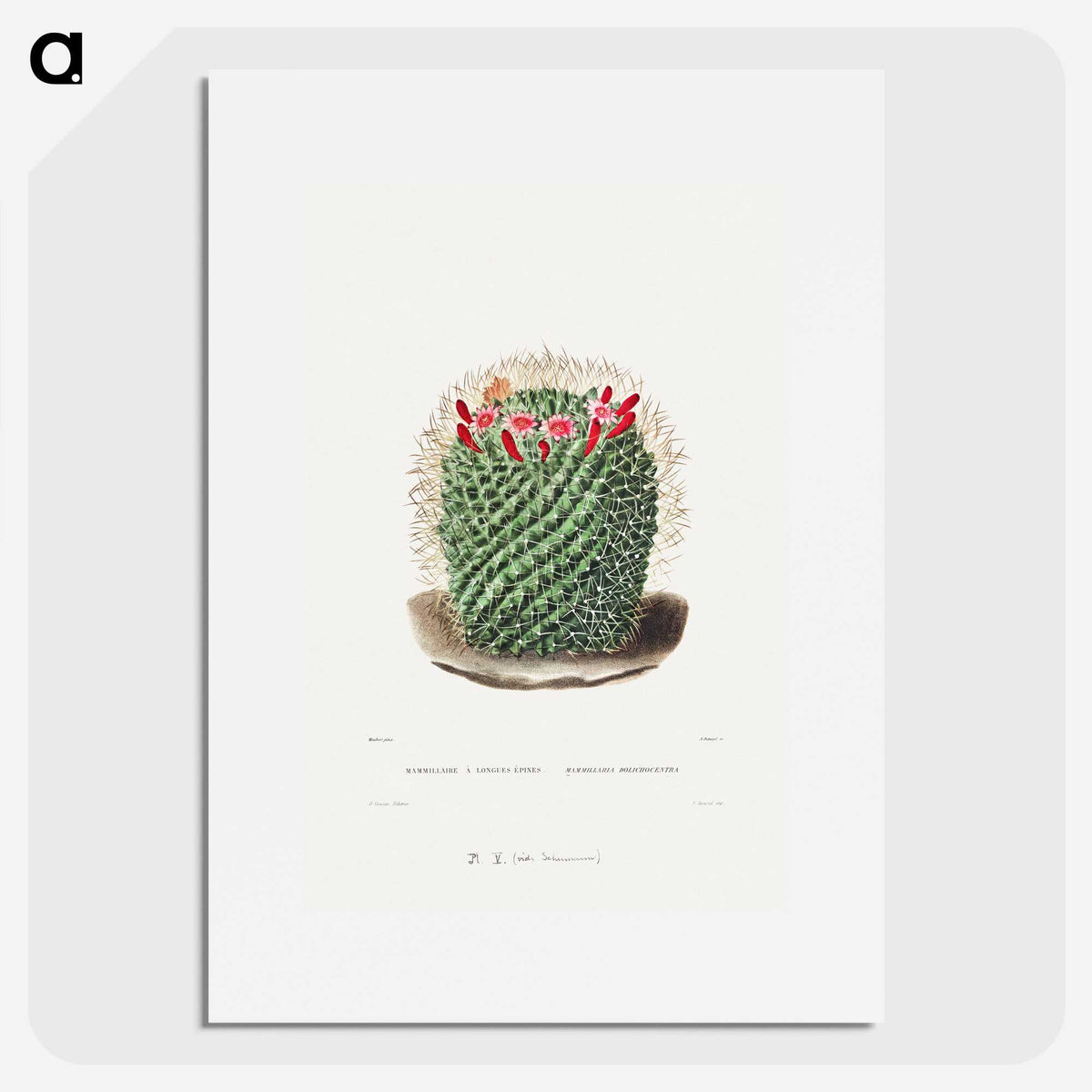 1-9_Charles-Antoine-Lemaire_picture
