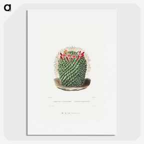 1-9_Charles-Antoine-Lemaire_picture