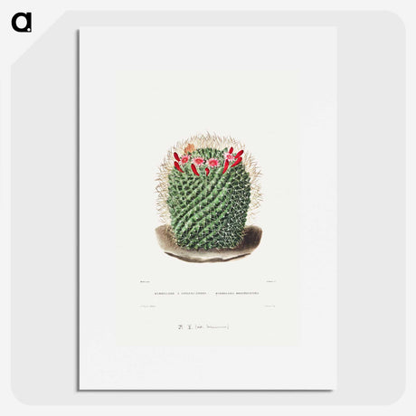 1-9_Charles-Antoine-Lemaire_picture