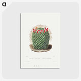 1-9_Charles-Antoine-Lemaire_postcard