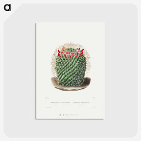 1-9_Charles-Antoine-Lemaire_postcard