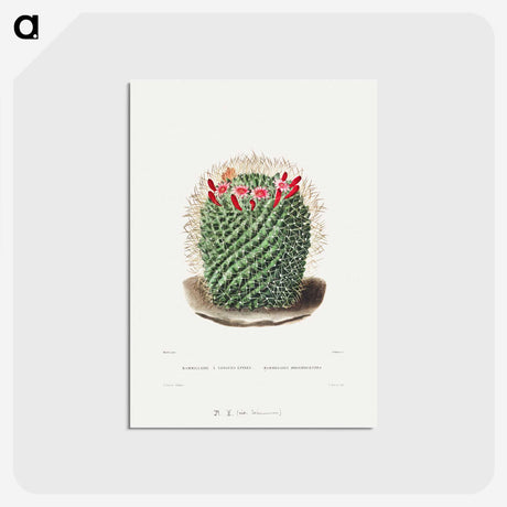 1-9_Charles-Antoine-Lemaire_postcard
