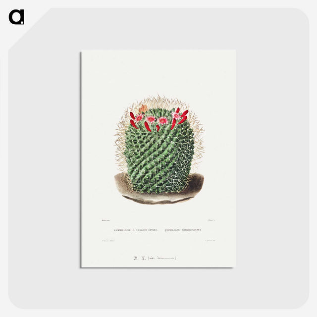 1-9_Charles-Antoine-Lemaire_postcard